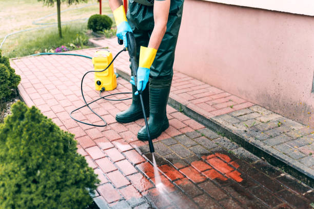 Best Building Exterior Washing  in Brighton, IL