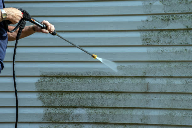 Best Driveway Pressure Washing  in Brighton, IL